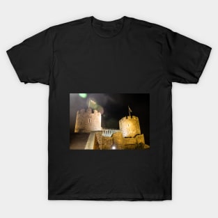 Conwy Castle T-Shirt